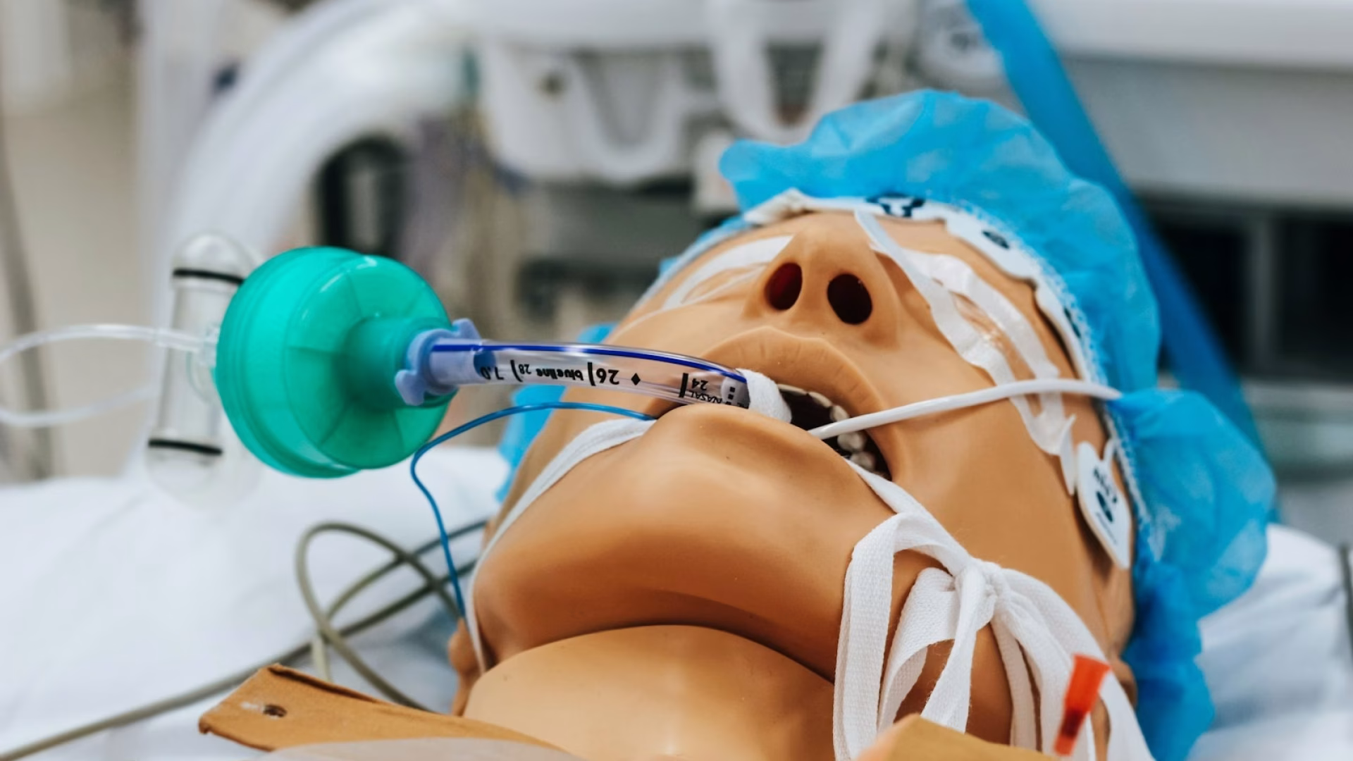 CPR dummy