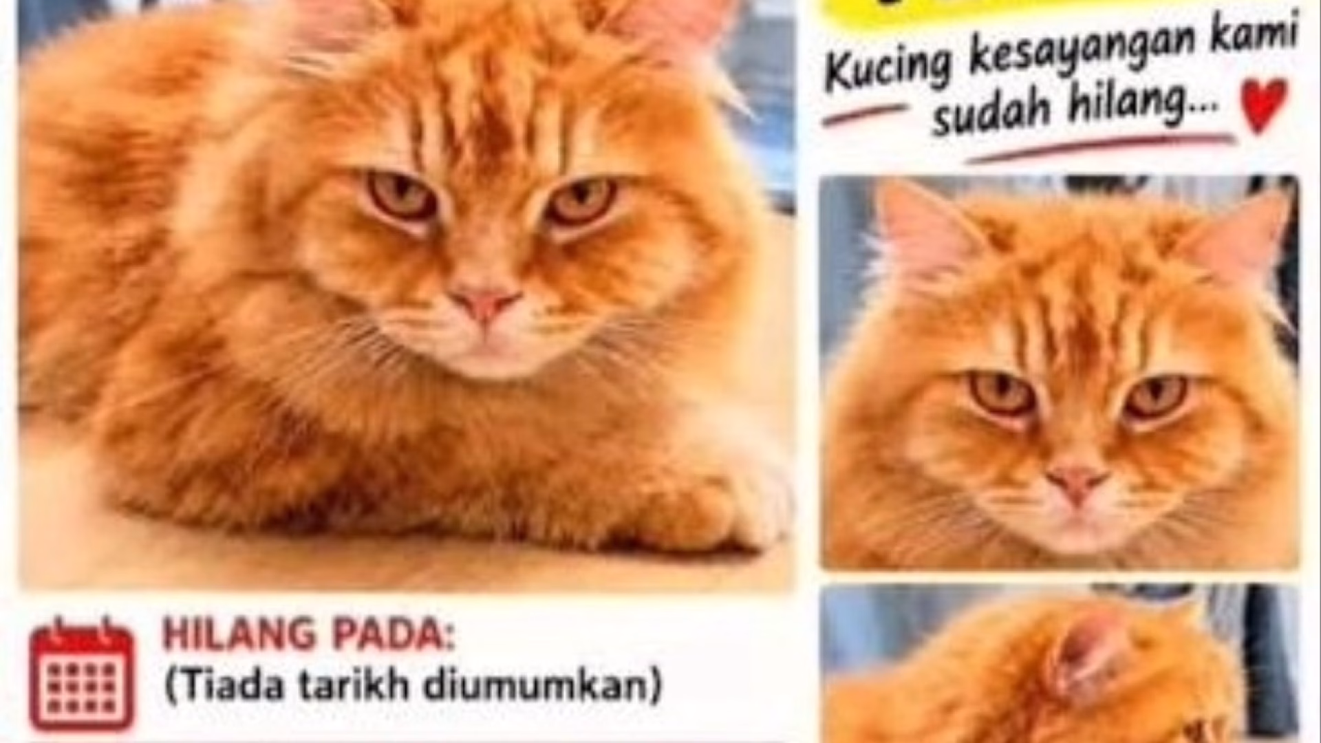 yeyen2 (1) (1)